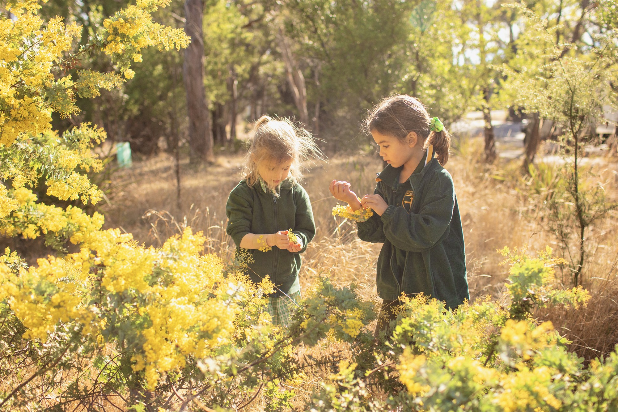 Welcome To Mount Nelson Primary School